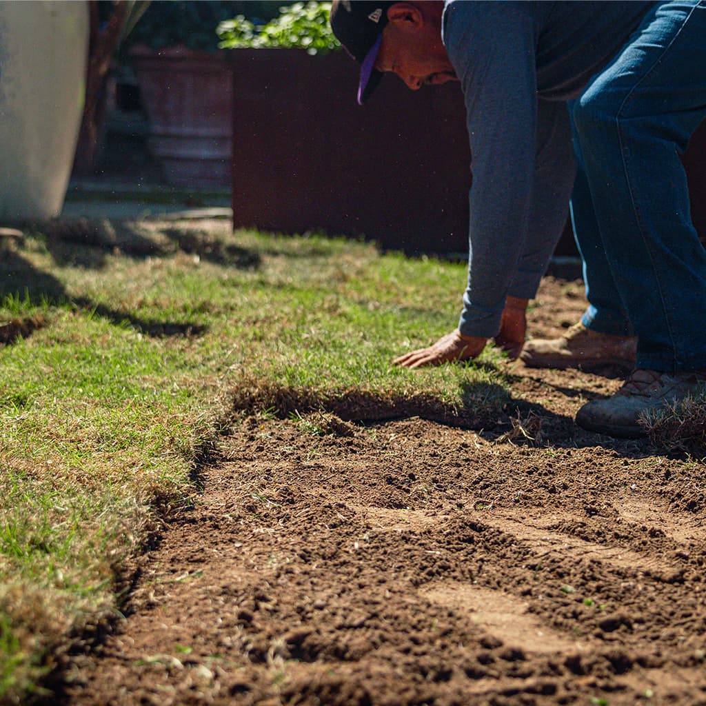 Professional sod installation