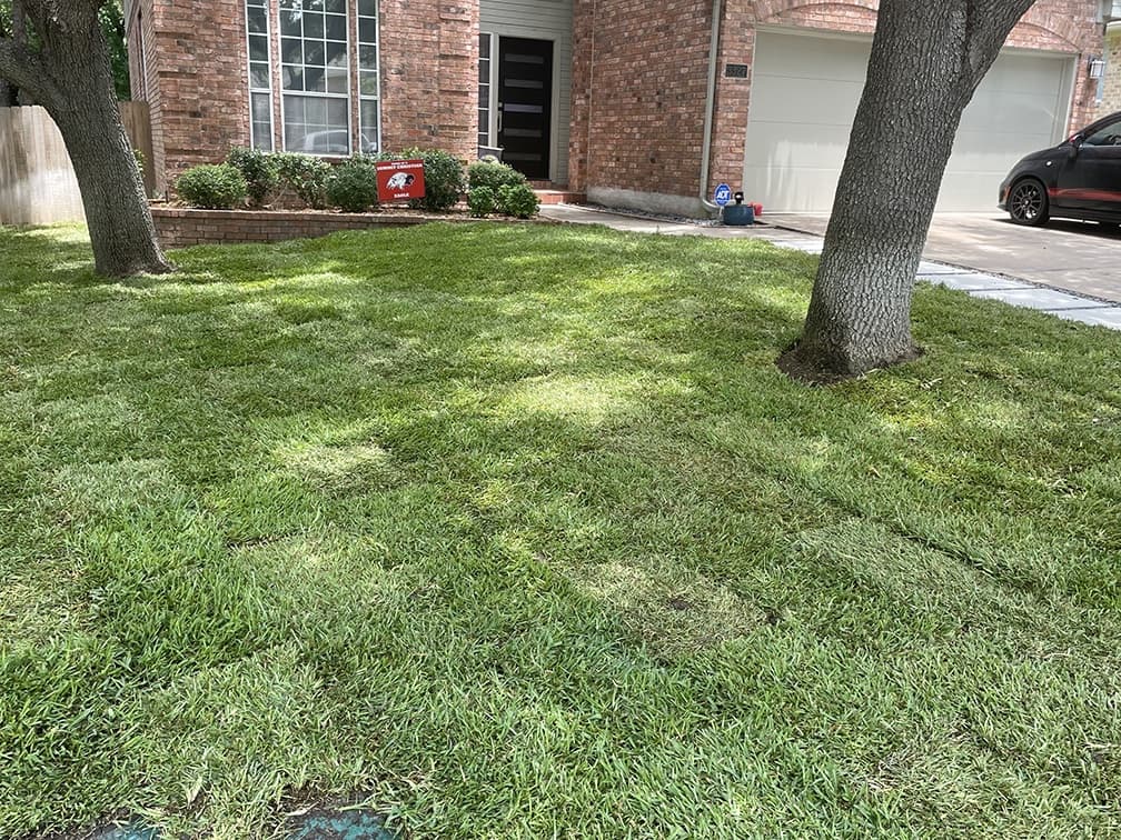 Local sod farm