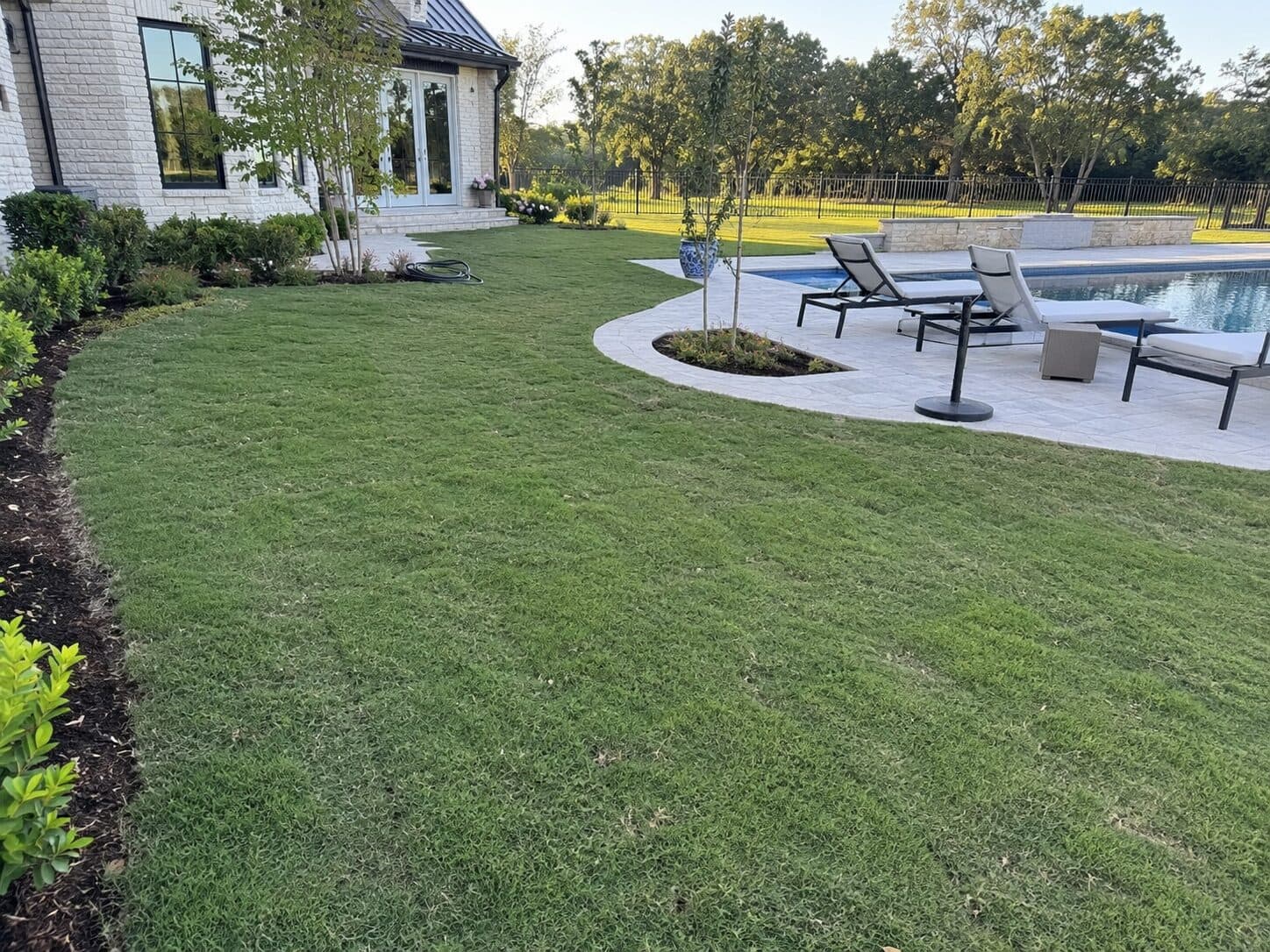 Lush backyard lawn surrounding a modern swimming pool