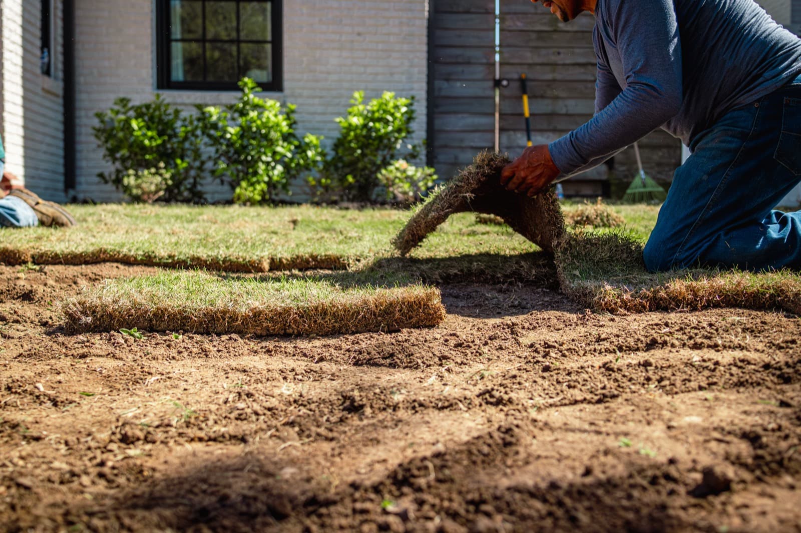 How Late in the Year Can You Lay Sod? Understanding Ideal Weather Conditions for Sod Installation