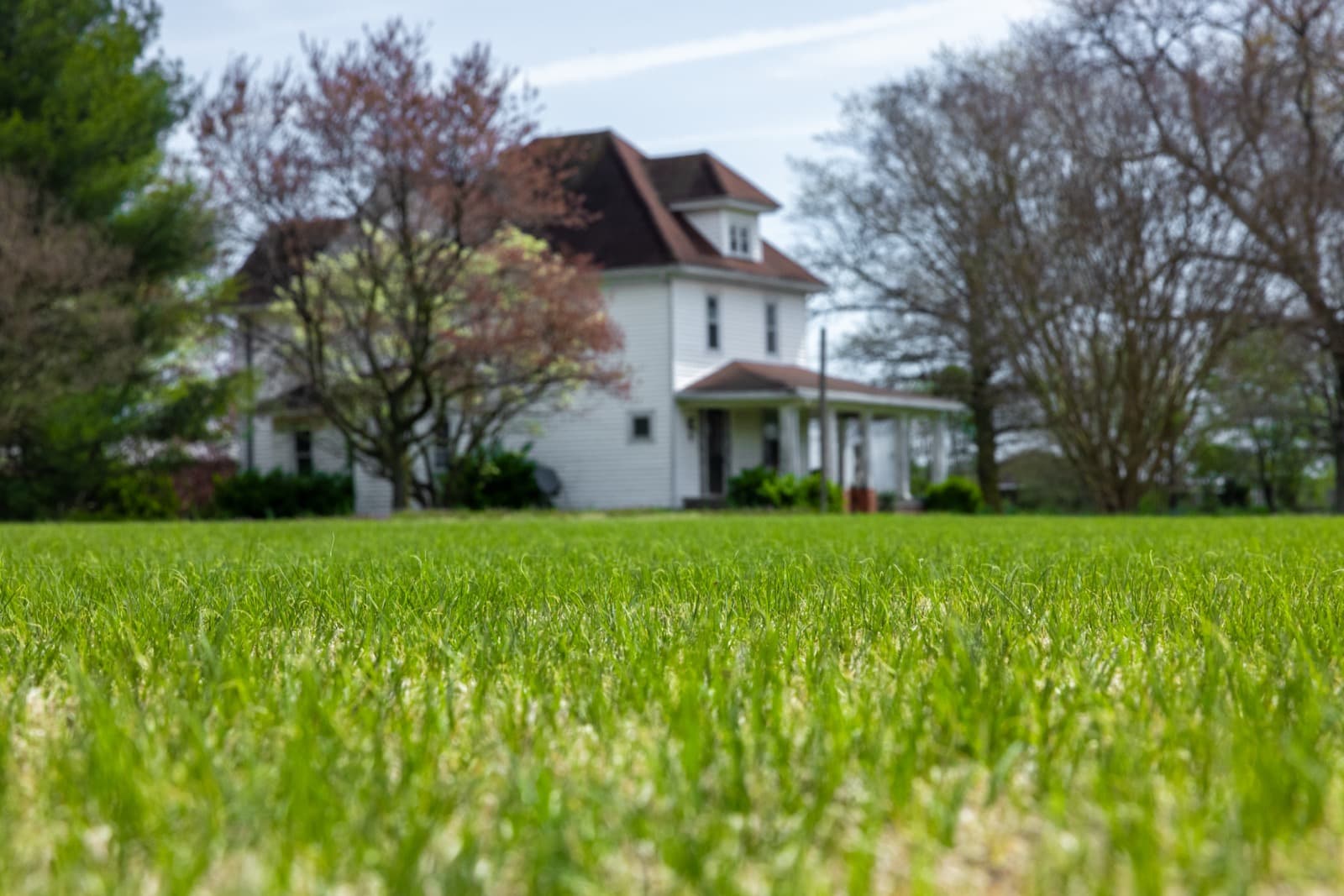 Warm Fall Lawn Care Tips | How to Protect Your Grass in a Dry Autumn