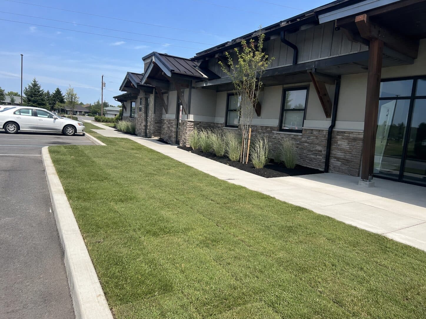 Fresh sod strip beside a commercial office walkway
