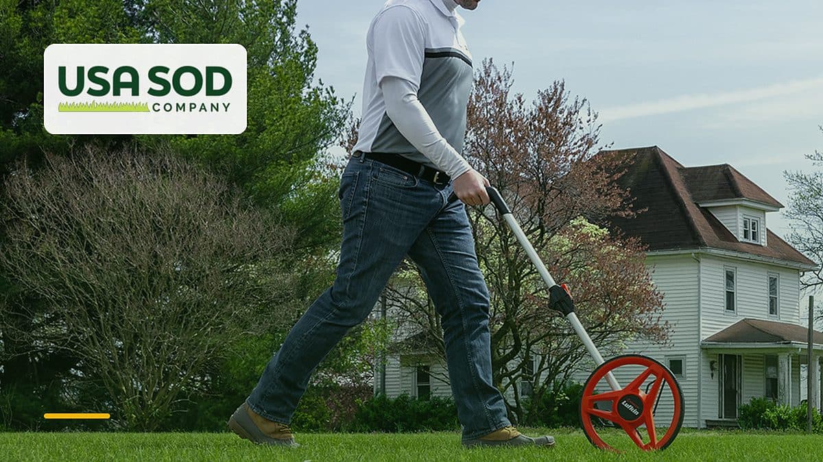 What If Your Sod Arrives Dead? Guarantees and Replacements