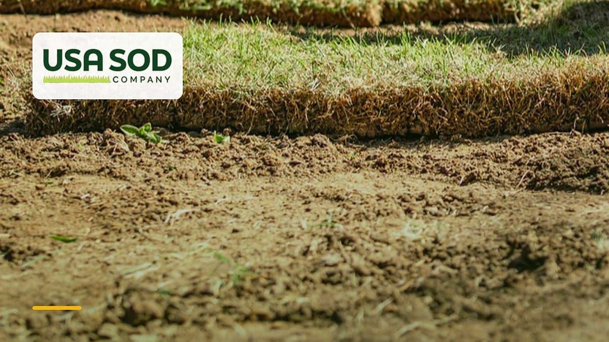 Where Does Our Sod Come From, and How Far Do We Deliver?