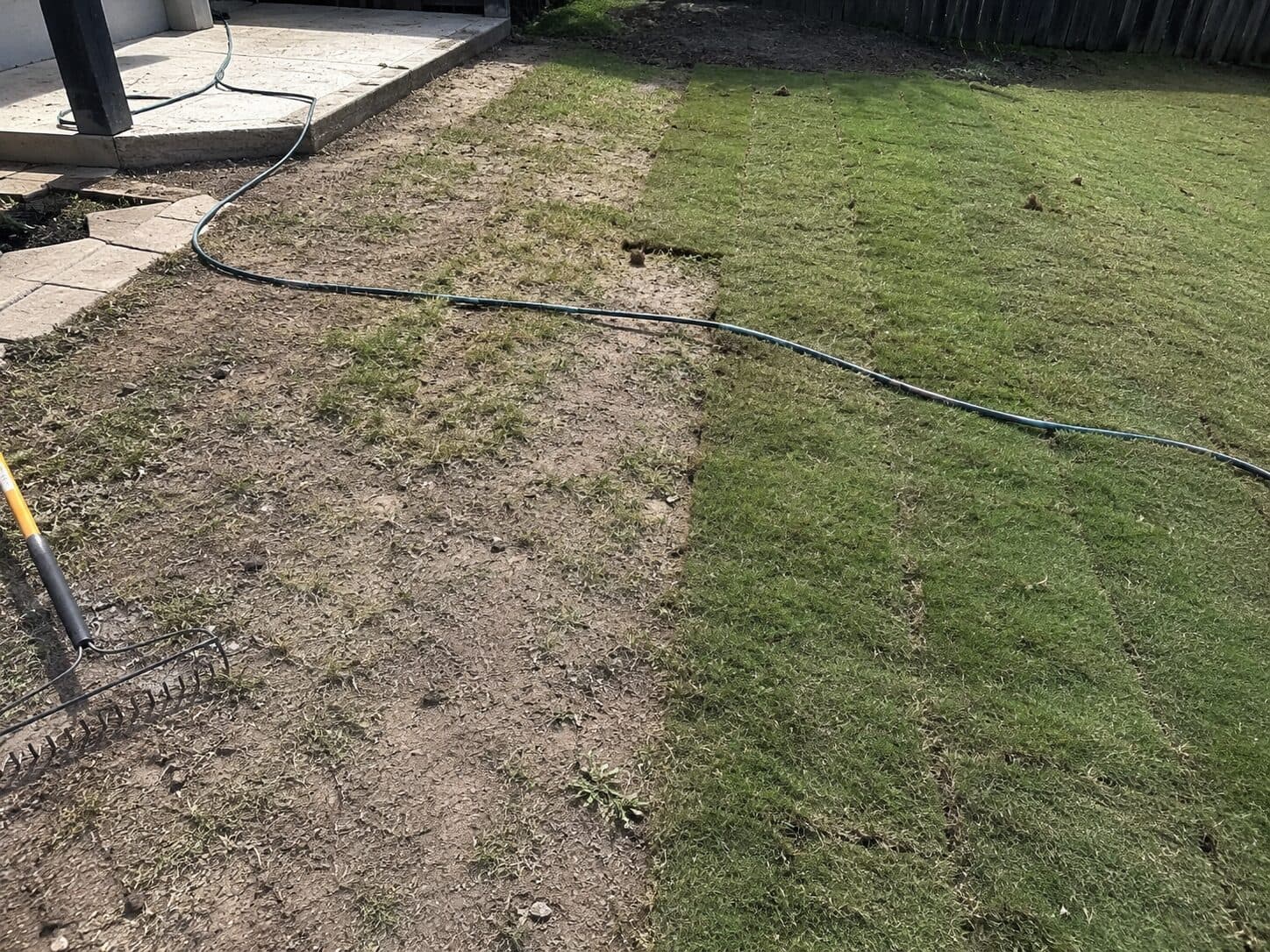 Backyard with patchy grass, bare soil, and thinning lawn