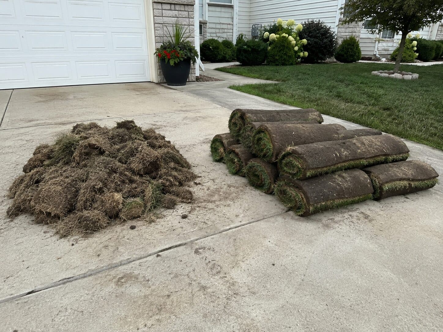 Removed dead sod beside fresh rolls waiting for installation