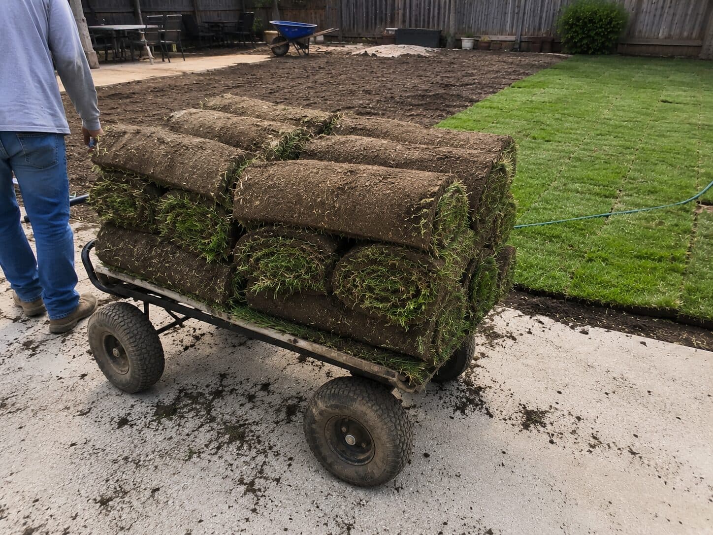 Fresh sod rolls stacked on a cart beside a prepared yard