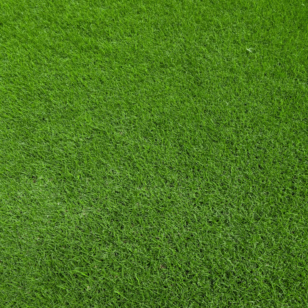 Bermuda Tifway 419 sod