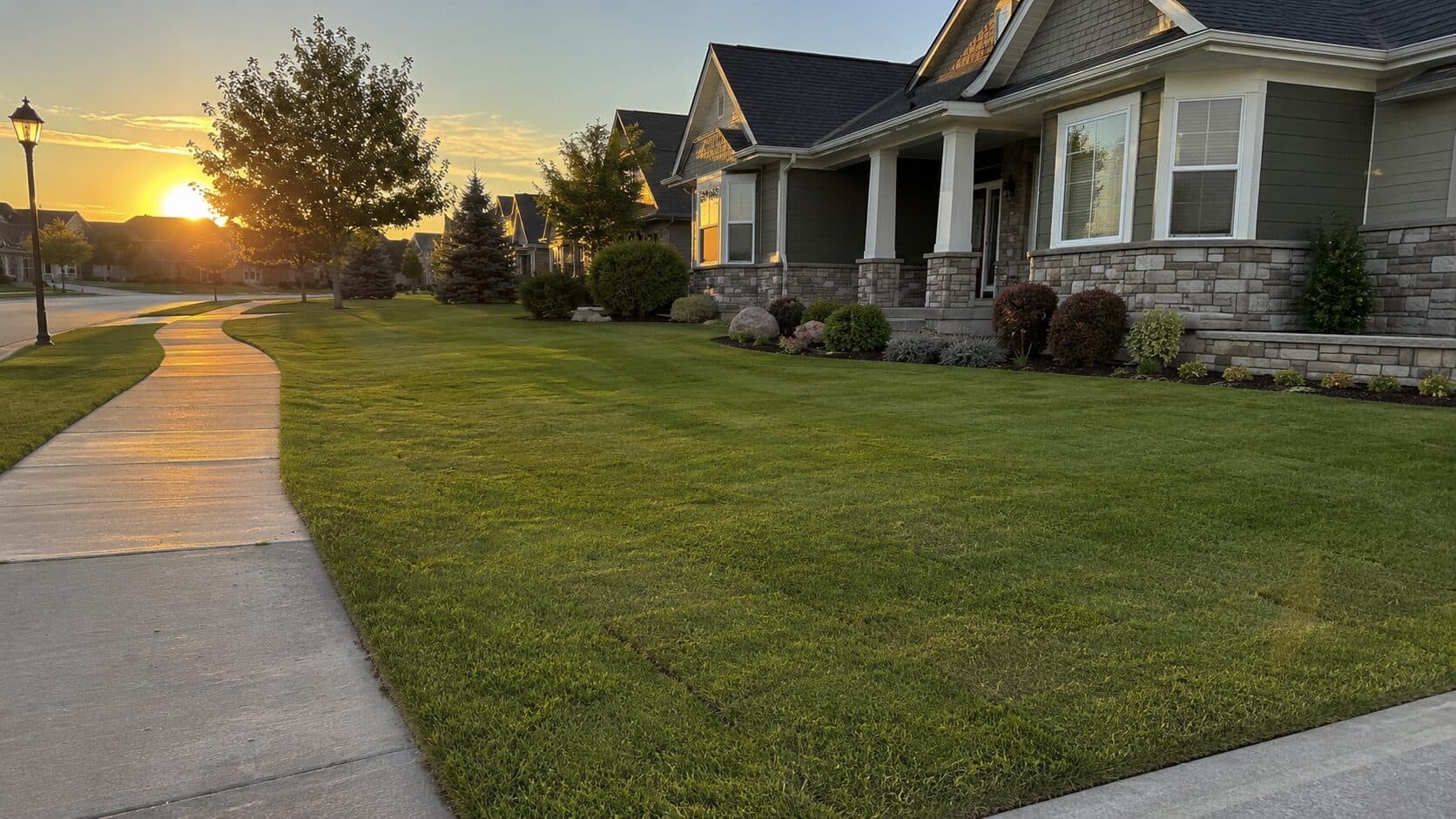 Lush suburban front lawn glowing at sunset