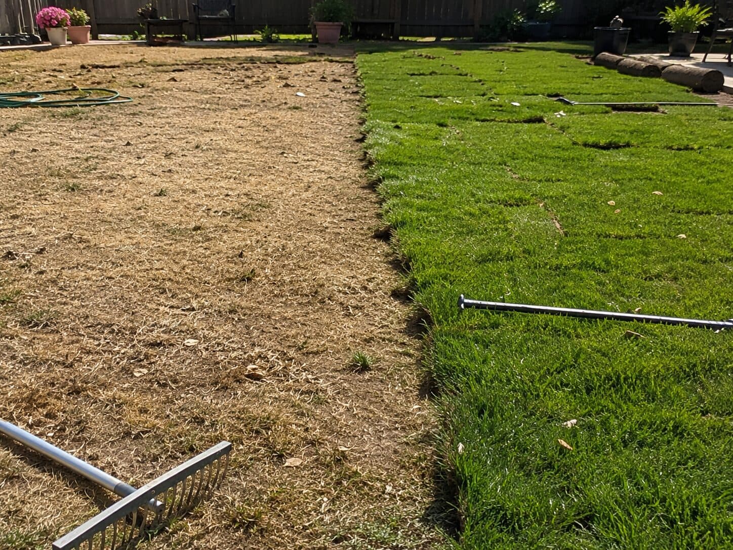 Sunny backyard with a newly installed green lawn
