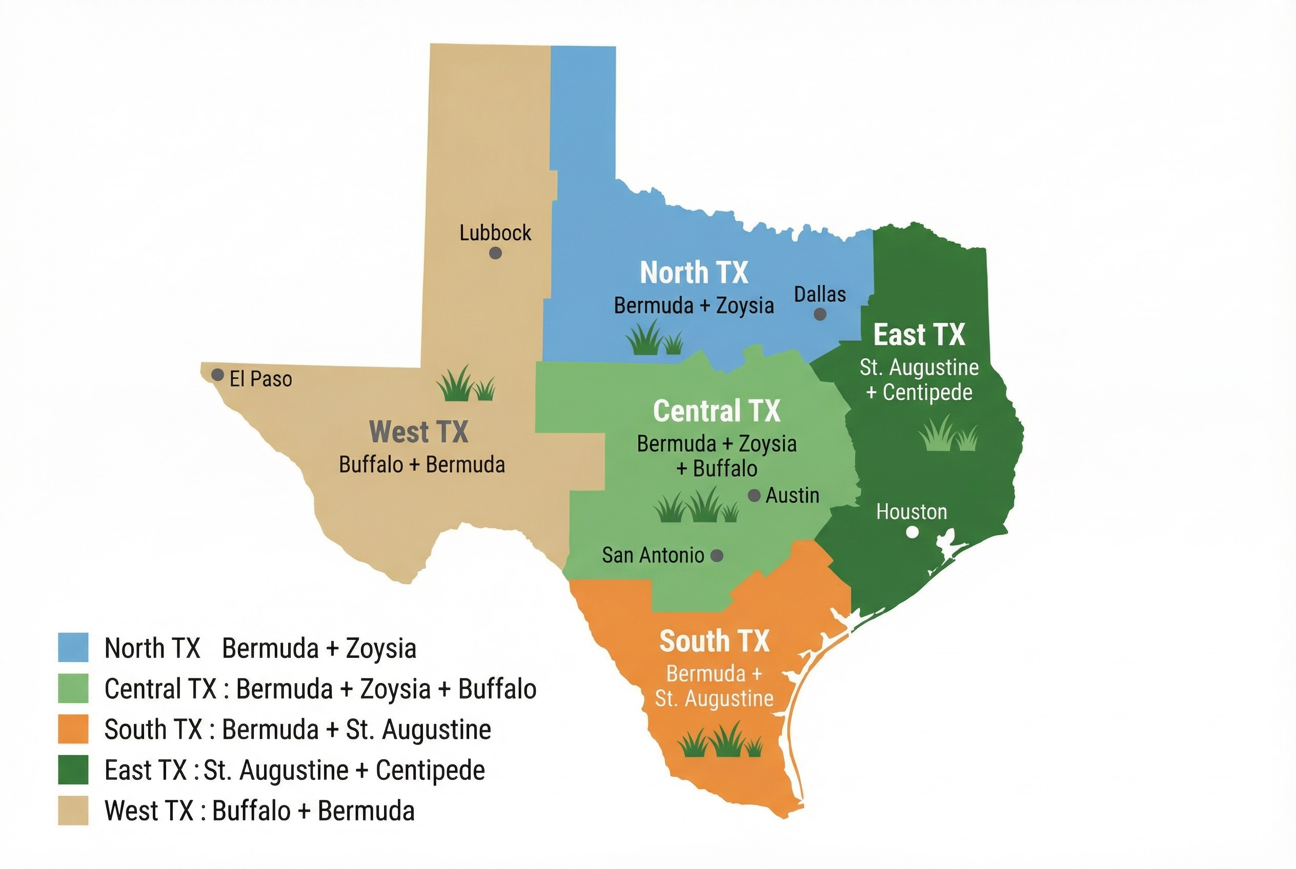 Your Texas region determines which grass types will thrive. Use this map to narrow your options before choosing a specific variety.