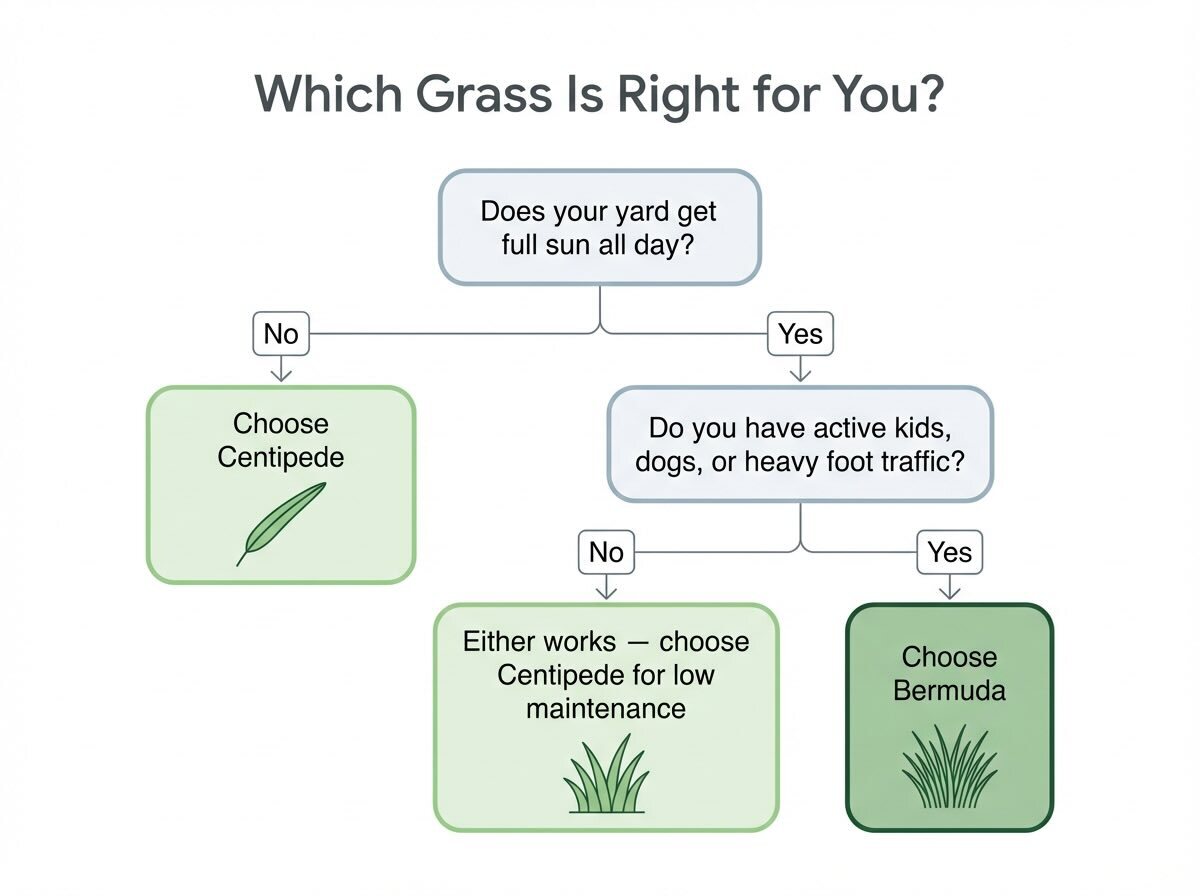 centipede vs bermuda