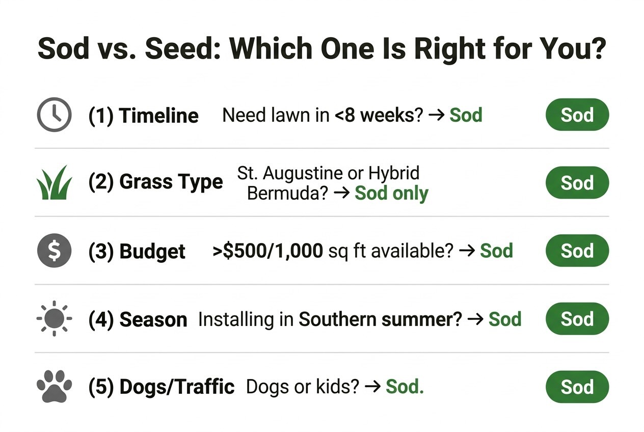 sod vs seed